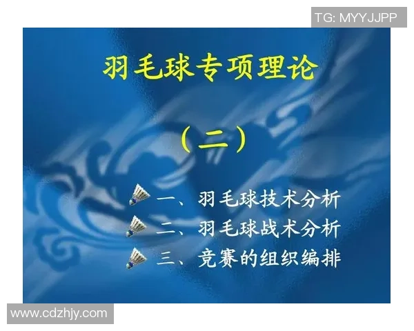 北京羽毛球队总决赛技术分析与表现评估全面解读